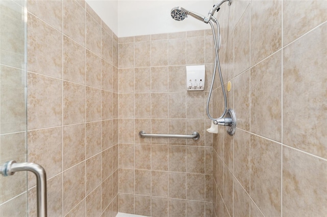 19115 SW 98th Loop, Dunnellon, FL 34432 - bathroom with a tile shower