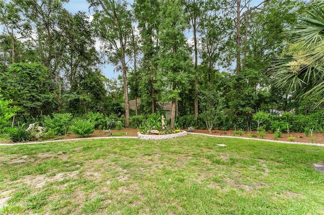 19115 SW 98th Loop, Dunnellon, FL 34432 - view of green lawn