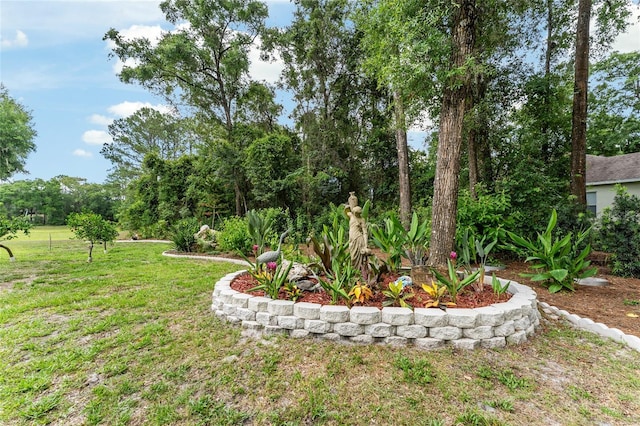 19115 SW 98th Loop, Dunnellon, FL 34432 - view of grassy yard