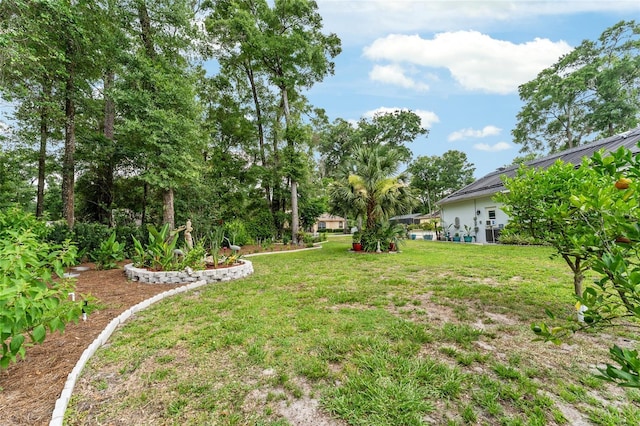 19115 SW 98th Loop, Dunnellon, FL 34432 - view of green lawn