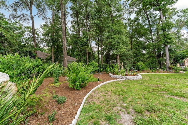 19115 SW 98th Loop, Dunnellon, FL 34432 - view of grassy yard