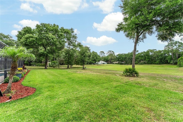 19115 SW 98th Loop, Dunnellon, FL 34432 - view of grassy yard