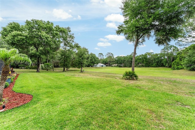 19115 SW 98th Loop, Dunnellon, FL 34432 - view of grassy yard featuring view of scattered trees