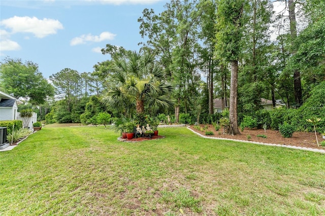 19115 SW 98th Loop, Dunnellon, FL 34432 - view of grassy yard