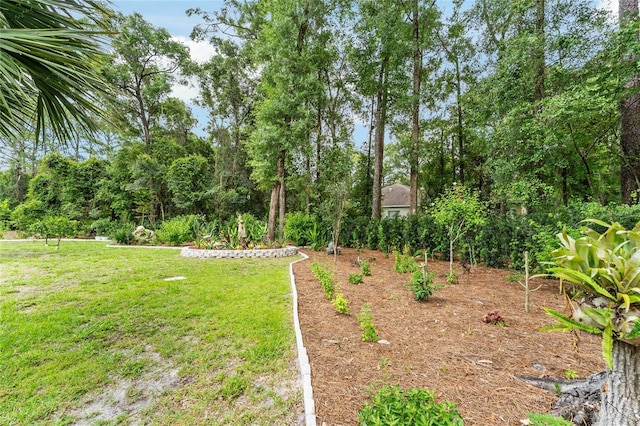 19115 SW 98th Loop, Dunnellon, FL 34432 - view of green lawn