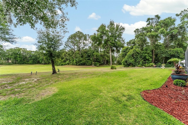 19115 SW 98th Loop, Dunnellon, FL 34432 - view of grassy yard featuring view of wooded area