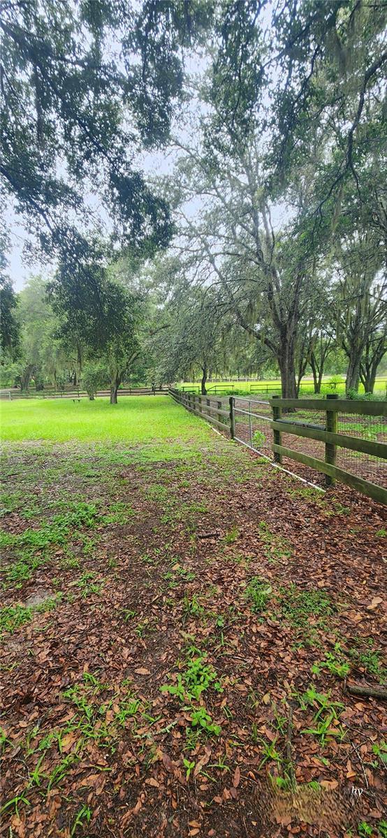 12524 SW 109th Pl, Dunnellon, FL 34432 - photo 54