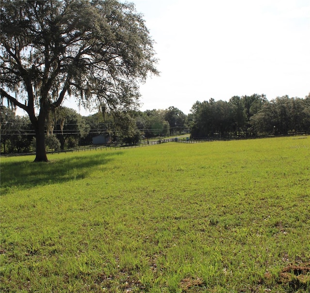 12524 SW 109th Pl, Dunnellon, FL 34432 - photo 6