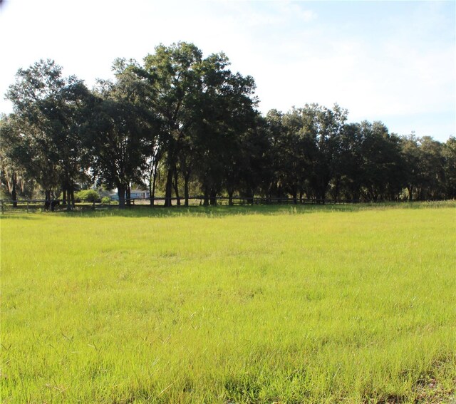 12524 SW 109th Pl, Dunnellon, FL 34432 - photo 64