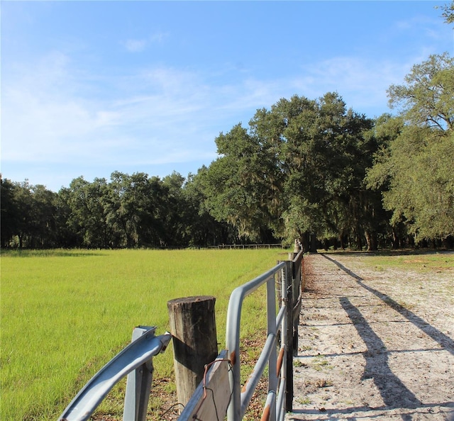 12524 SW 109th Pl, Dunnellon, FL 34432 - photo 65