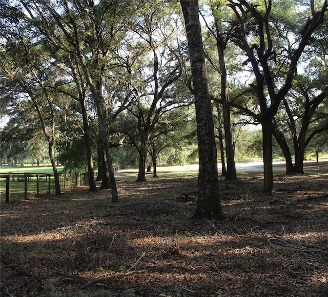 12524 SW 109th Pl, Dunnellon, FL 34432 - photo 58