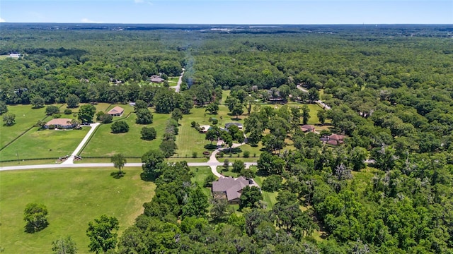 9039 SE 7th Avenue Rd, Ocala, FL 34480 - photo 93
