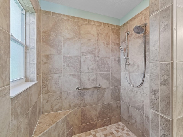 2721 Day Lily Run, The Villages, FL 32162 - full bathroom with tiled shower
