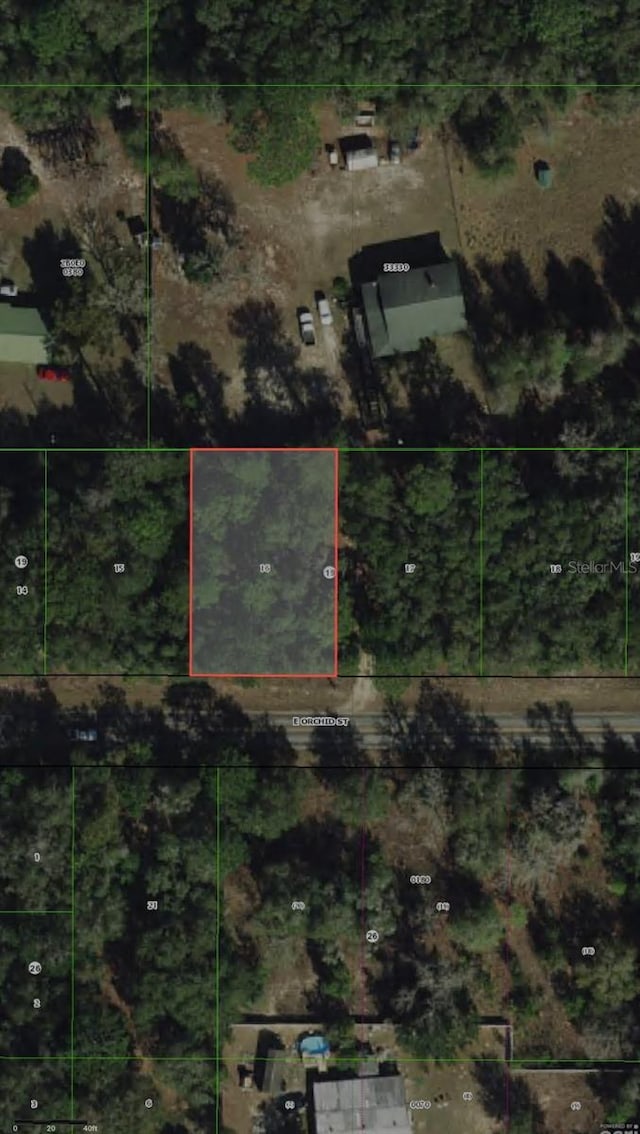 3919 E Orchid St, Hernando, FL 34442