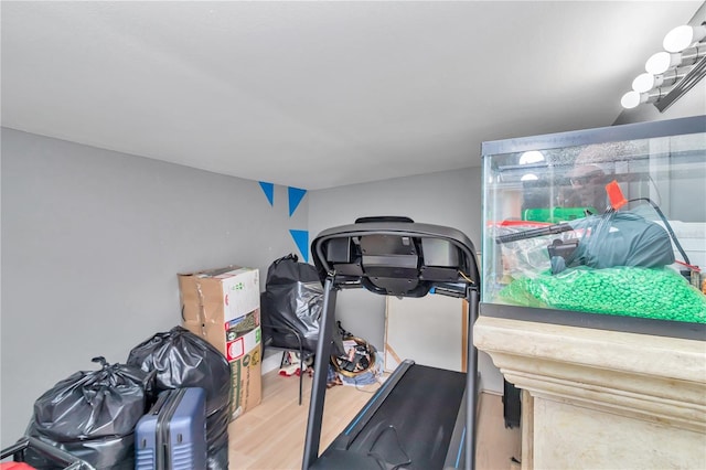 3453 SE 147th Ln, Summerfield, FL 34491 - workout room with wood finished floors