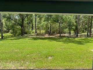1467 E Odin Dr, Citrus Springs, FL 34434 - view of grassy yard