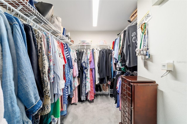 3629 SE 54th Ave, Ocala, FL 34480 - walk in closet with carpet floors