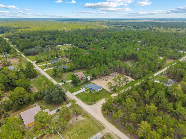 9789 SW 125th Court Rd, Dunnellon, FL 34432 - photo 6