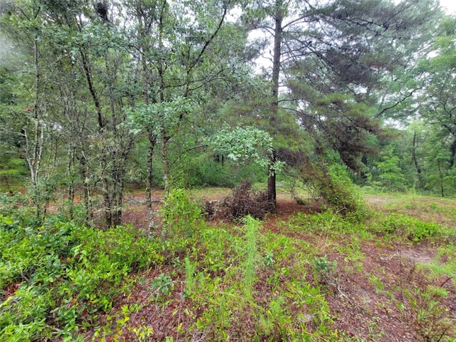 0 SW Driftwood Ct, Dunnellon, FL 34431 - photo 3