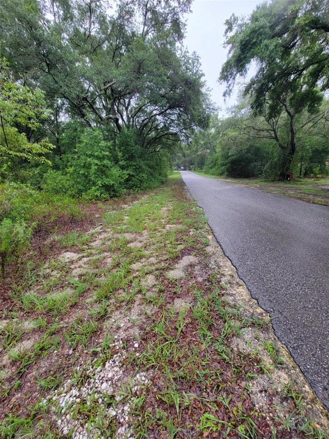 0 SW Driftwood Ct, Dunnellon, FL 34431 - photo 4
