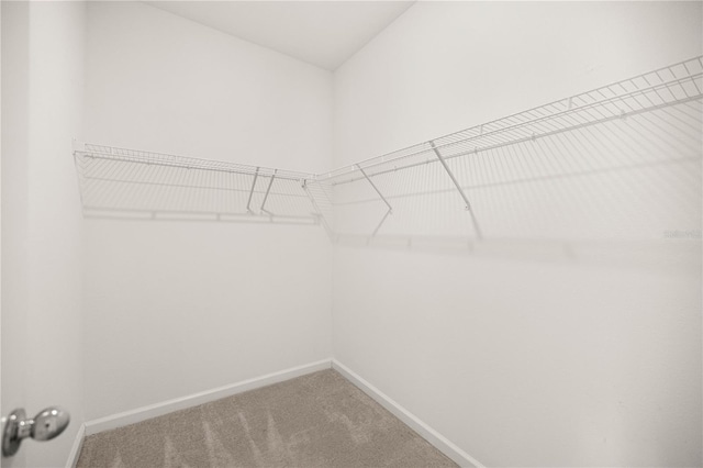7828 SW 74th Loop, Ocala, FL 34481 - photo 15