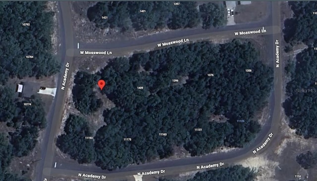 1425 W Mosswood Ln, Citrus Springs, FL 34434