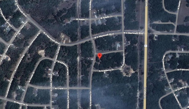 1425 W Mosswood Ln, Citrus Springs, FL 34434