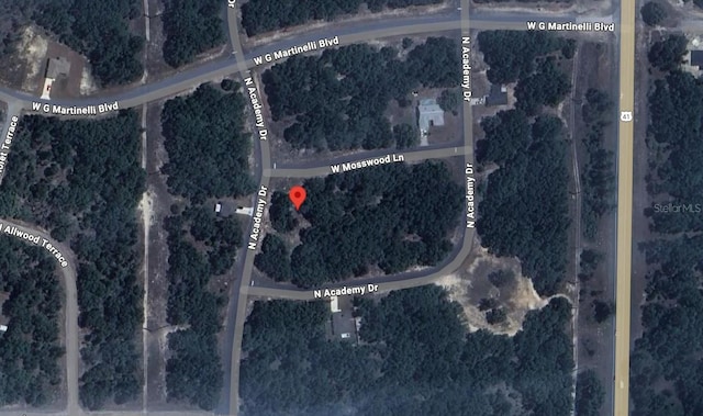 1425 W Mosswood Ln, Citrus Springs, FL 34434