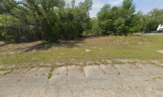 1425 W Mosswood Ln, Citrus Springs, FL 34434