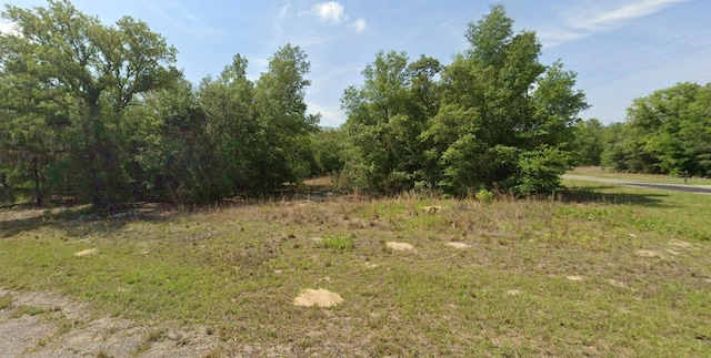 1425 W Mosswood Ln, Citrus Springs, FL 34434