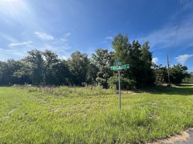 1425 W Mosswood Ln, Citrus Springs, FL 34434 - photo 1