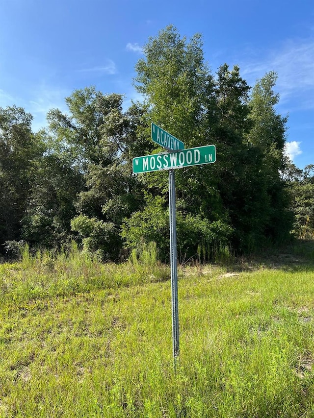 1425 W Mosswood Ln, Citrus Springs, FL 34434 - photo 2