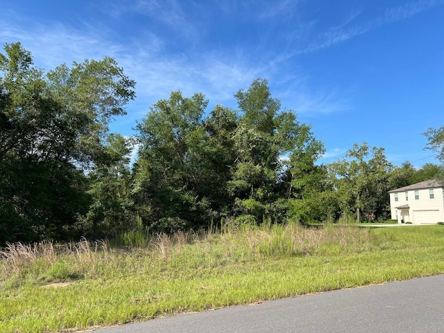 1425 W Mosswood Ln, Citrus Springs, FL 34434 - photo 3