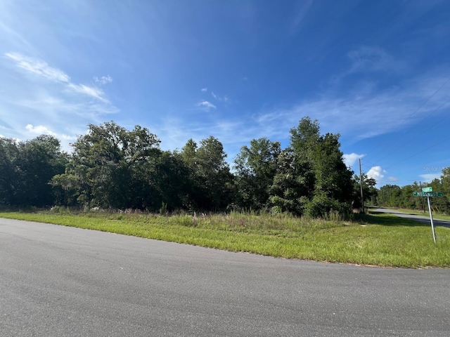 1425 W Mosswood Ln, Citrus Springs, FL 34434 - photo 4