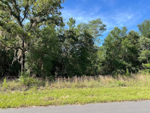 1425 W Mosswood Ln, Citrus Springs, FL 34434 - photo 13