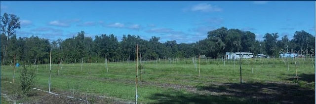 9333 E Bushnell Rd, Floral City, FL 34436 - photo 2