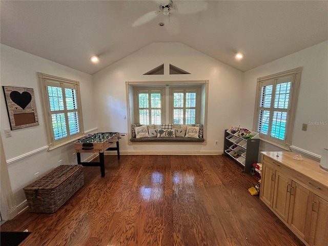 2070 SE 50th Ter, Ocala, FL 34480 - interior space with vaulted ceiling, dark wood-type flooring, plenty of natural light, and ceiling fan