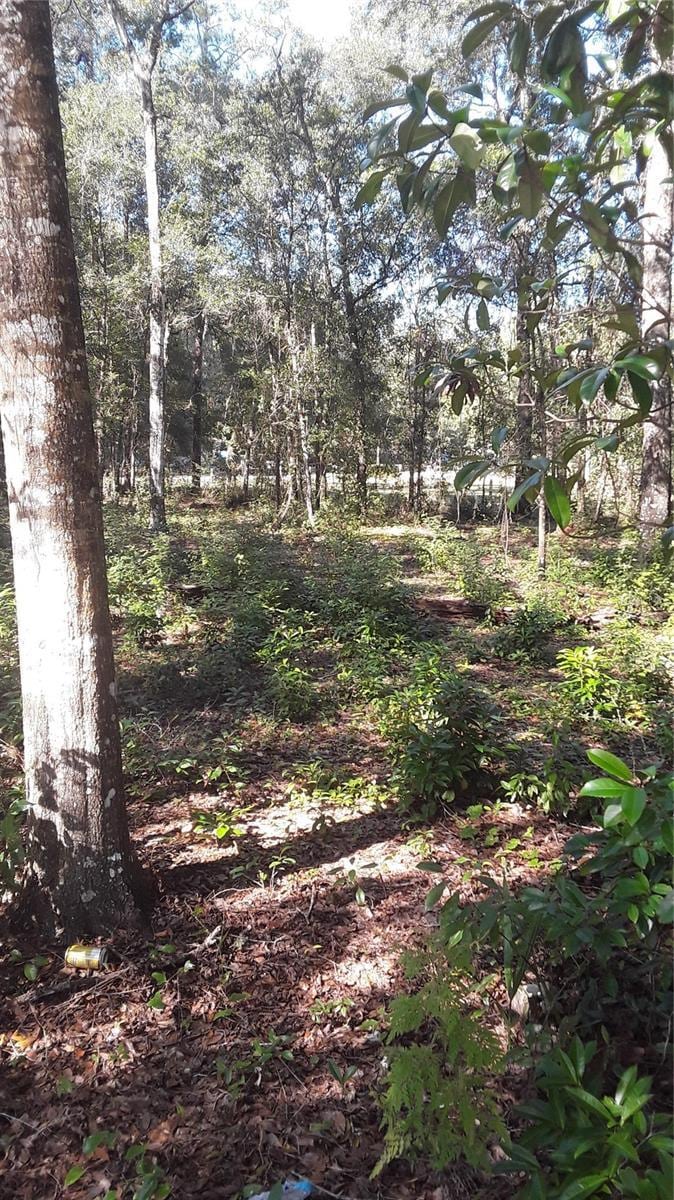 22733 NE 114th Ave, Fort Mc Coy, FL 32134 - photo 1