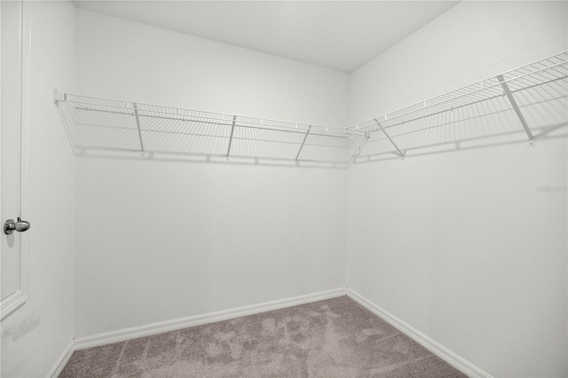 9266 SW 58th Cir, Ocala, FL 34476 - photo 12