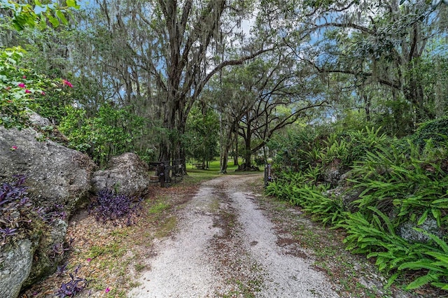 1921 SW 42nd St, Ocala, FL 34471 - photo 55
