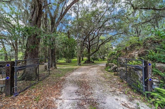 1921 SW 42nd St, Ocala, FL 34471 - photo 56