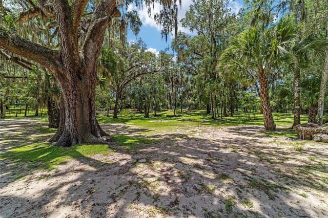 1921 SW 42nd St, Ocala, FL 34471 - photo 57