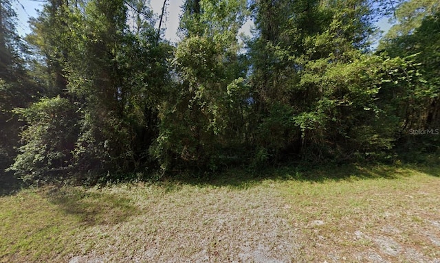 936 E Weldon Ln, Dunnellon, FL 34434 - photo 6