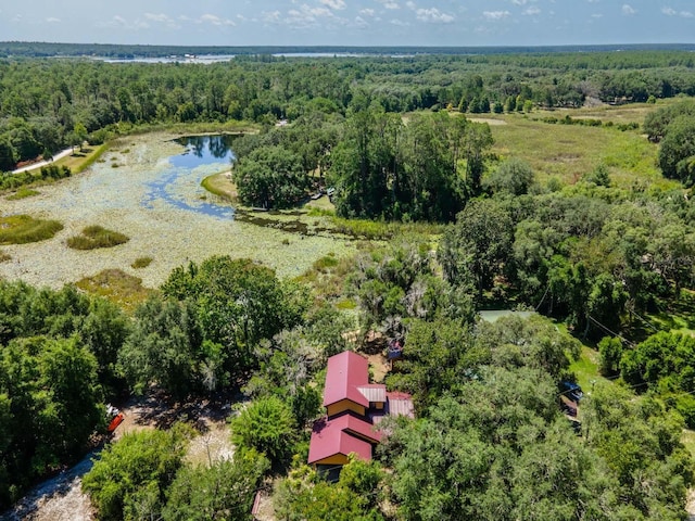 23610 NE 154th Place Rd, Fort Mc Coy, FL 32134 - photo 2