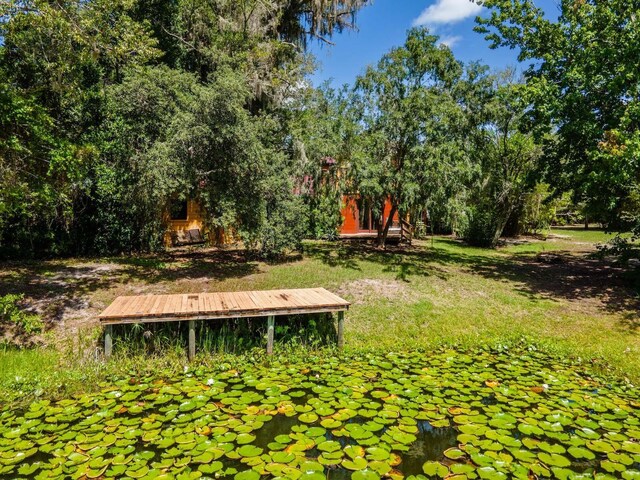 23610 NE 154th Place Rd, Fort Mc Coy, FL 32134 - photo 31