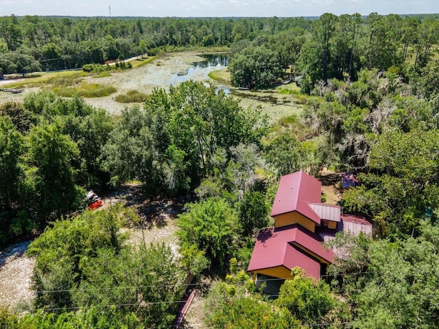 23610 NE 154th Place Rd, Fort Mc Coy, FL 32134 - photo 35