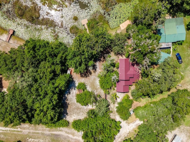 23610 NE 154th Place Rd, Fort Mc Coy, FL 32134 - photo 36