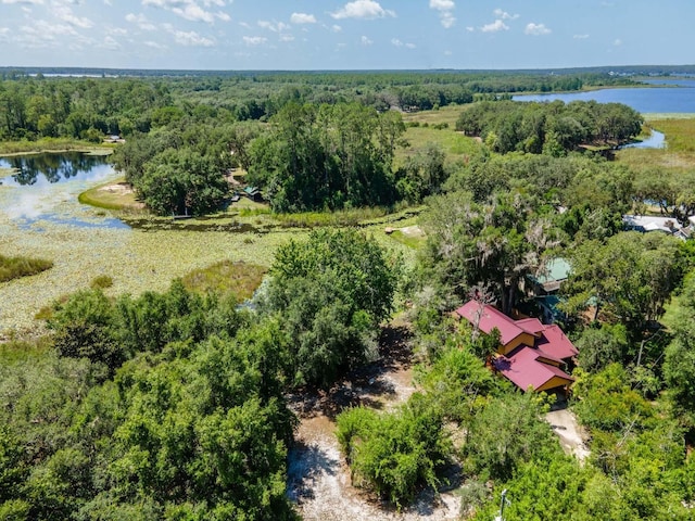 23610 NE 154th Place Rd, Fort Mc Coy, FL 32134 - photo 37