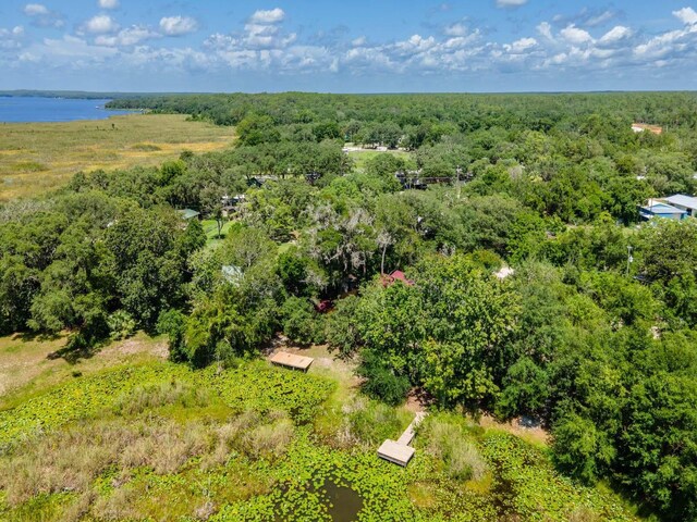 23610 NE 154th Place Rd, Fort Mc Coy, FL 32134 - photo 38