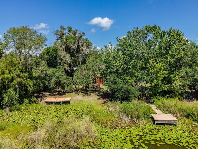 23610 NE 154th Place Rd, Fort Mc Coy, FL 32134 - photo 39